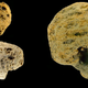 A sampling of pumice stones used by the Neanderthals.